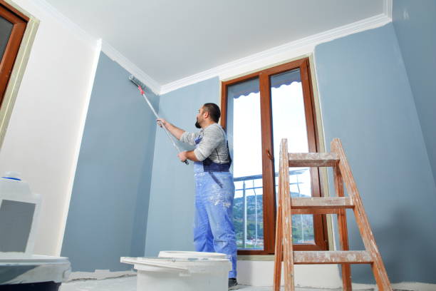 Professional Mold Removal in Ham Lake, MN