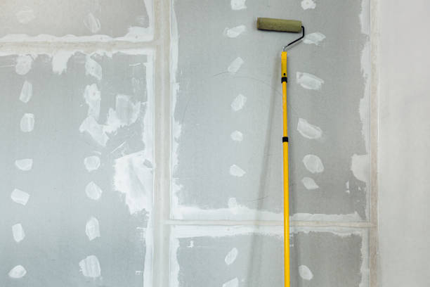 Best Industrial Mold Remediation  in Ham Lake, MN