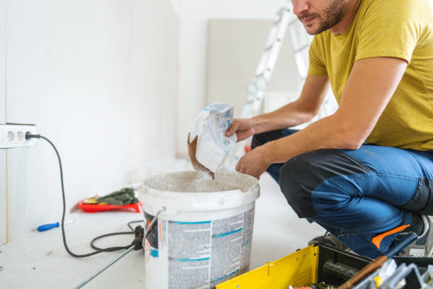 Best HVAC Mold Inspection and Cleaning  in Ham Lake, MN