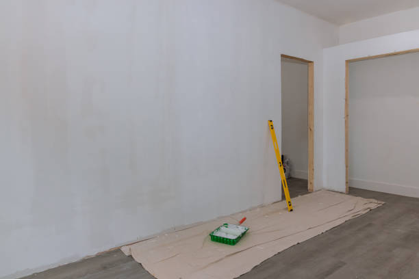 Best Mold Prevention Services  in Ham Lake, MN