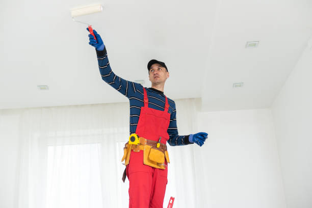 Biohazard Mold Removal in Ham Lake, MN